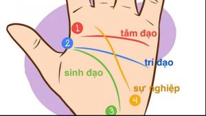 Xem bói tướng bàn tay