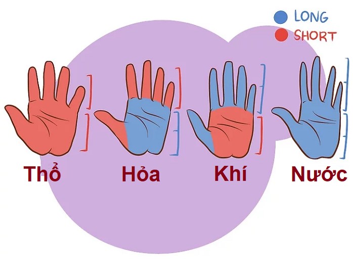 Xem bói tướng bàn tay theo hình dáng