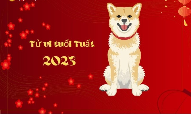 Giai ma tu vi tuoi tuat trong nam 2023 